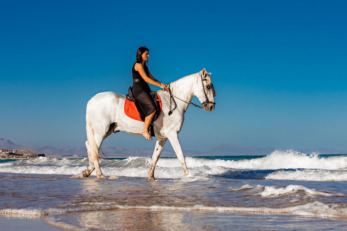 Fotoshooting mit Pferd Fuerteventura